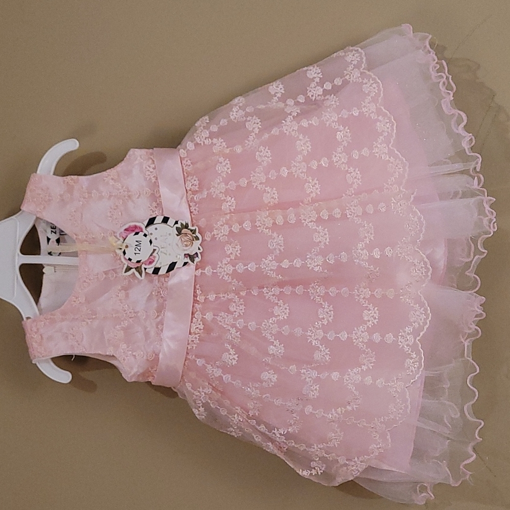 NWT Zeal baby dress  12 months